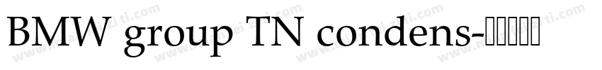 BMW group TN condens字体转换